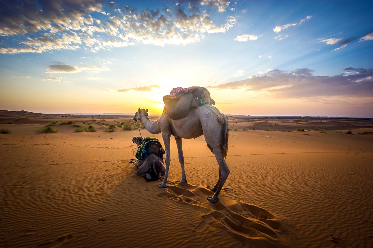 bajar a marruecos desierto